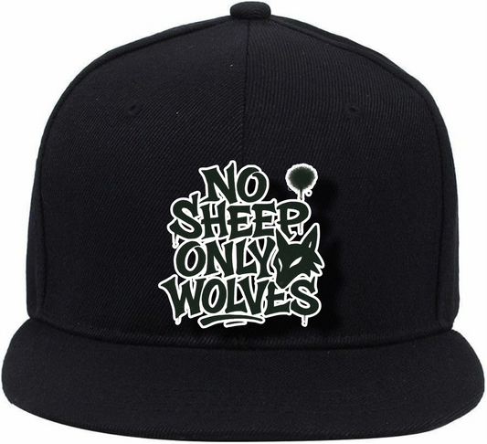 #NSOW LOGO CAP 4