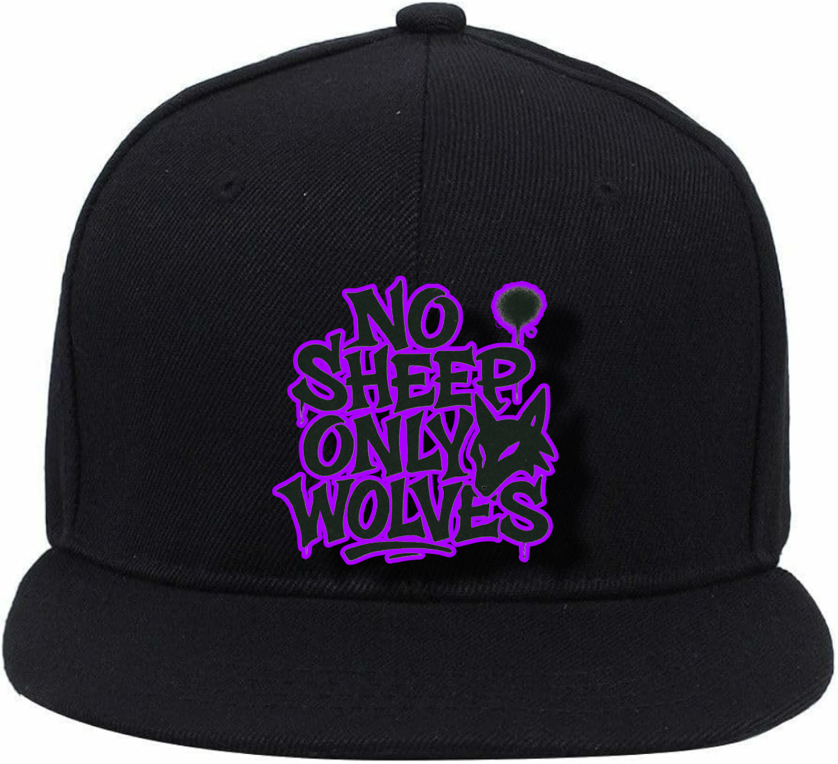 #NSOW LOGO CAP 4