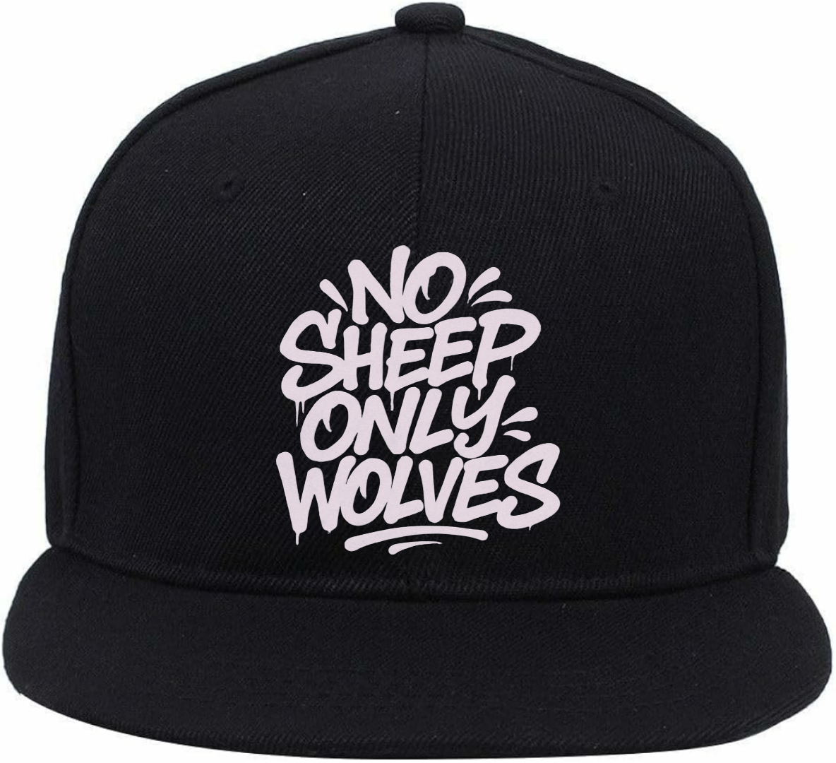 #NSOW LOGO CAP 3