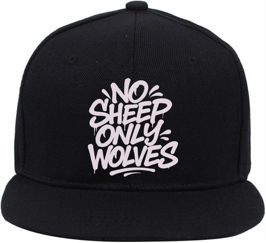 #NSOW LOGO CAP 3