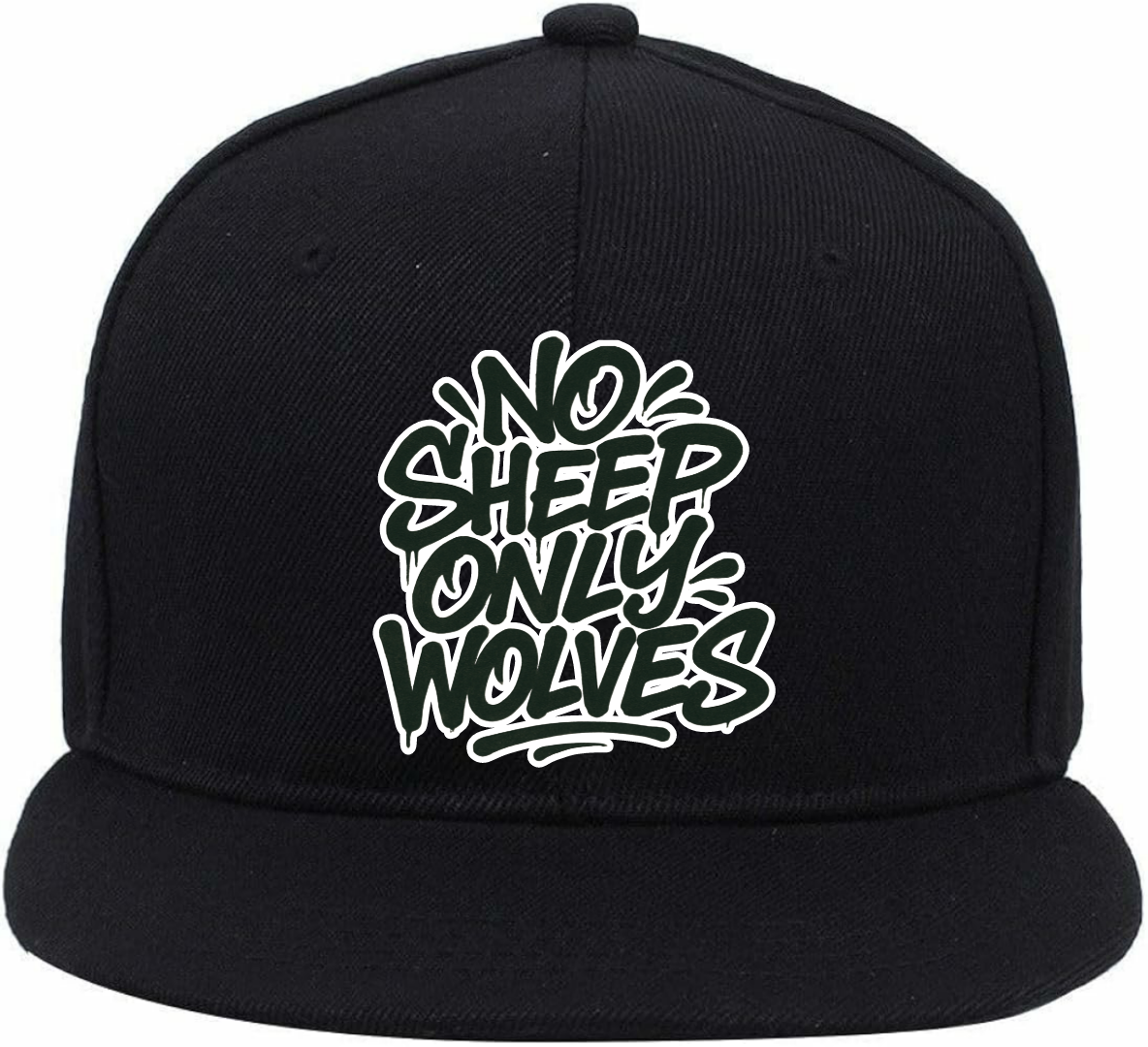 #NSOW LOGO CAP 3
