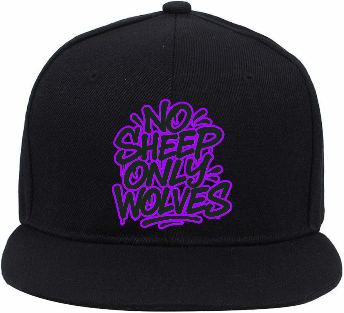 #NSOW LOGO CAP 3