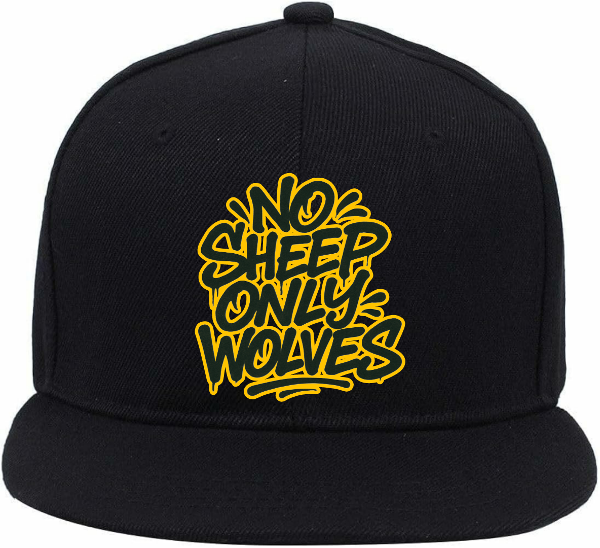 #NSOW LOGO CAP 3