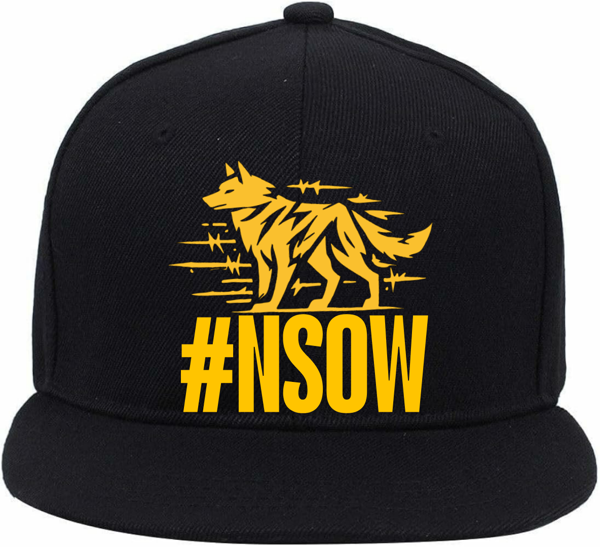 #NSOW LOGO CAP 2
