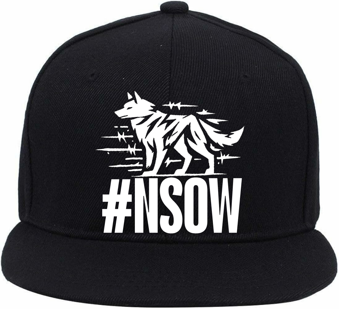 #NSOW LOGO CAP 2