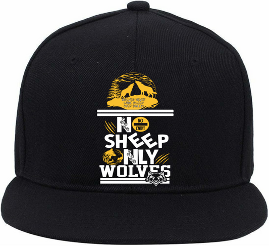 #NSOW LOGO CAP 5
