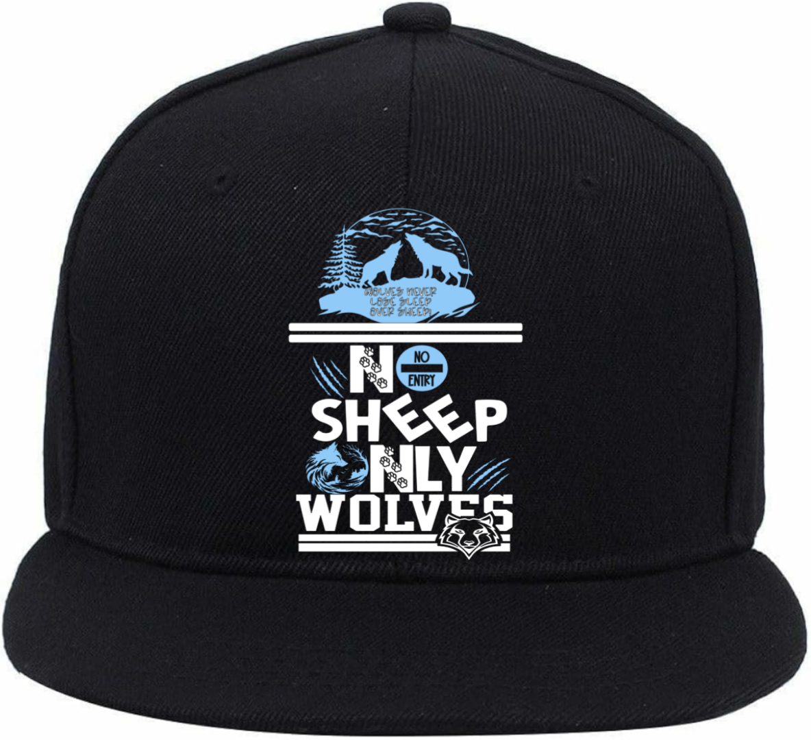 #NSOW LOGO CAP 5