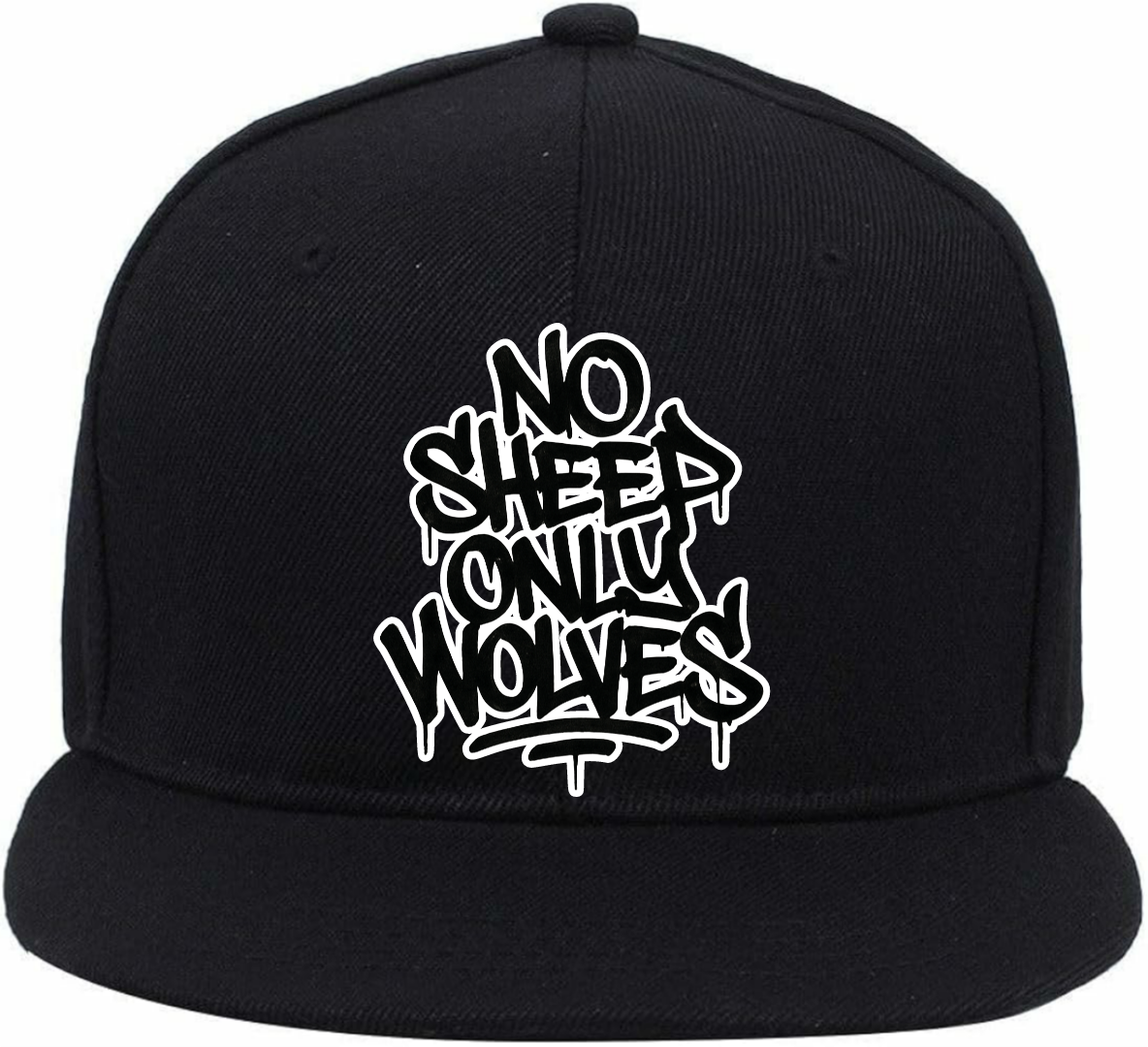 #NSOW LOGO CAP