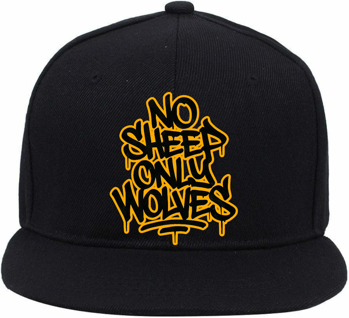 #NSOW LOGO CAP