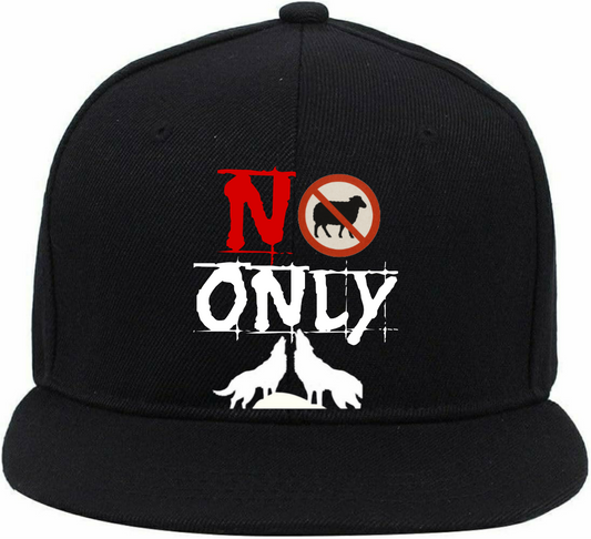 #NSOW LOGO CAP 9